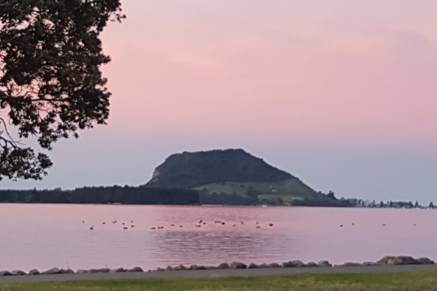 "Going for a walk up Mauao (Mount Maunganui) or on the beach" - Sarah